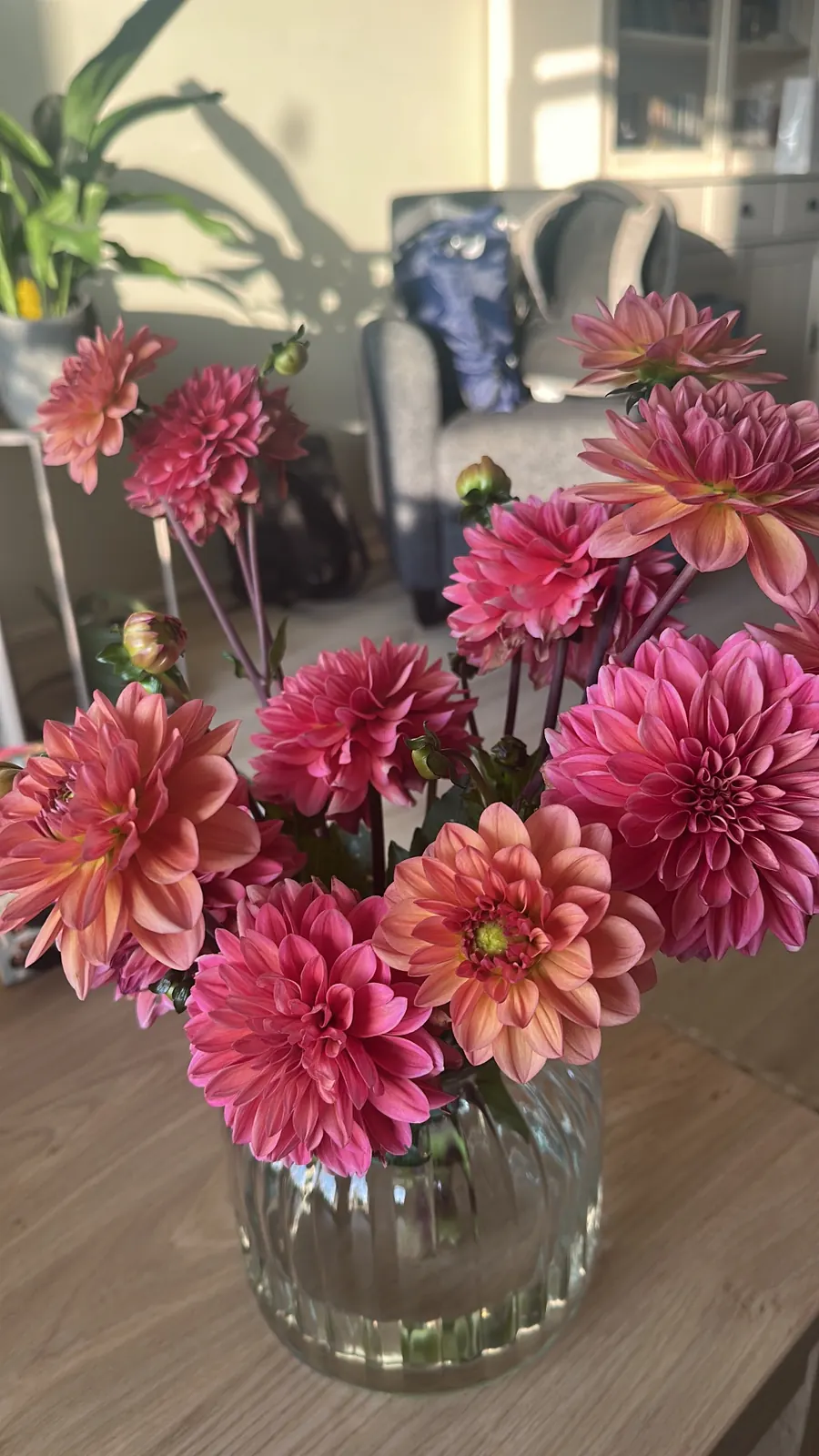 Boeket roze en perzikkleurige dahlia's in een glazen vaas
